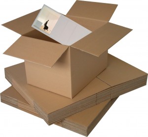 caseta en carton_box